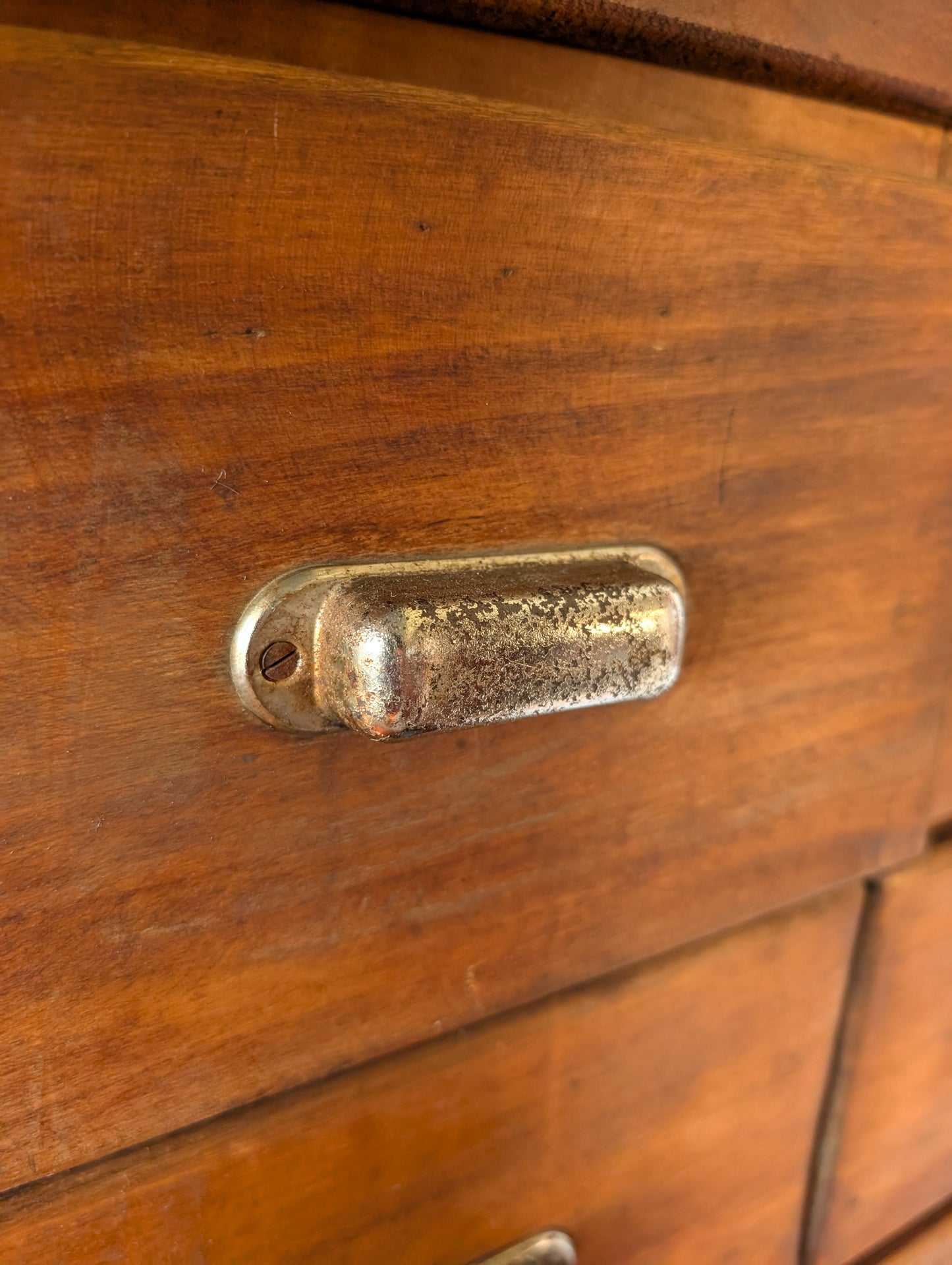 French Apothecary Cabinet oak 50s