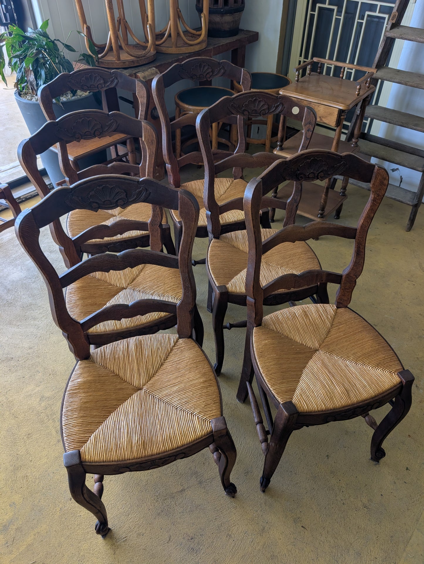 Set of 6 provincial chairs