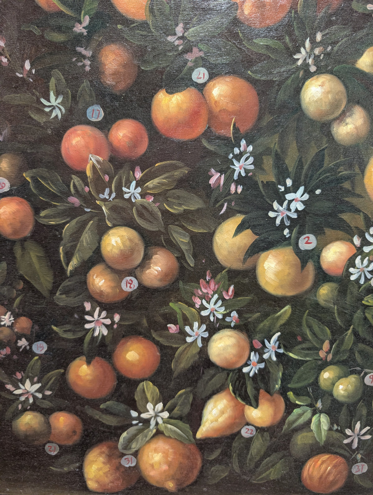Large Vintage Italian Baroque Citrus Oil Painting – Hand-Painted Still Life Canvas (The Bimbi Citrus Study)