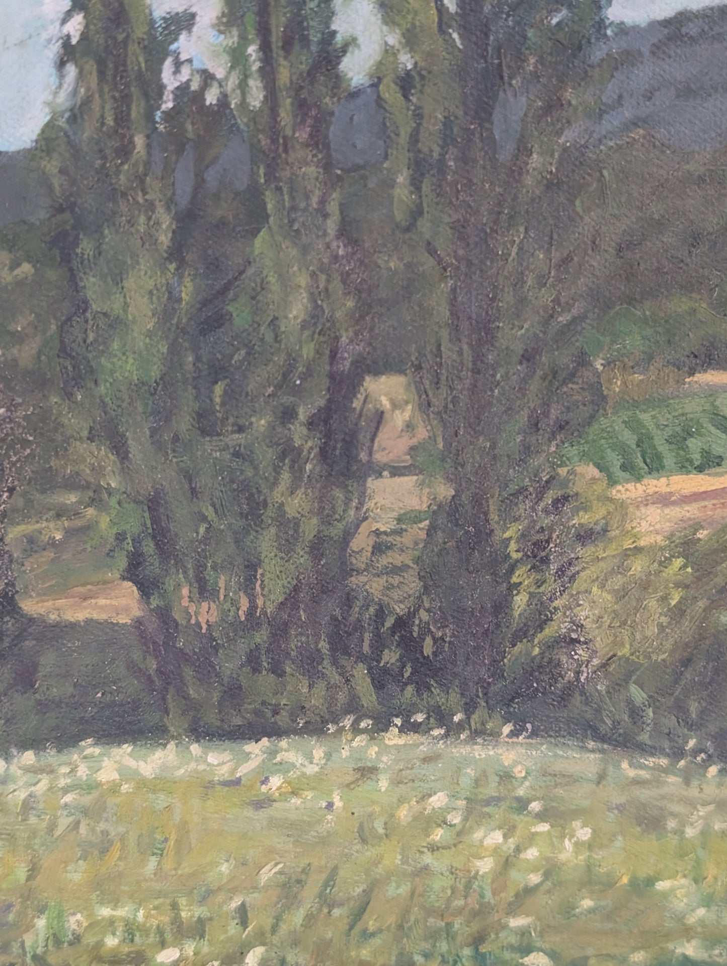 French Landscape Painting – Castelnau-de-Montmiral (2003)