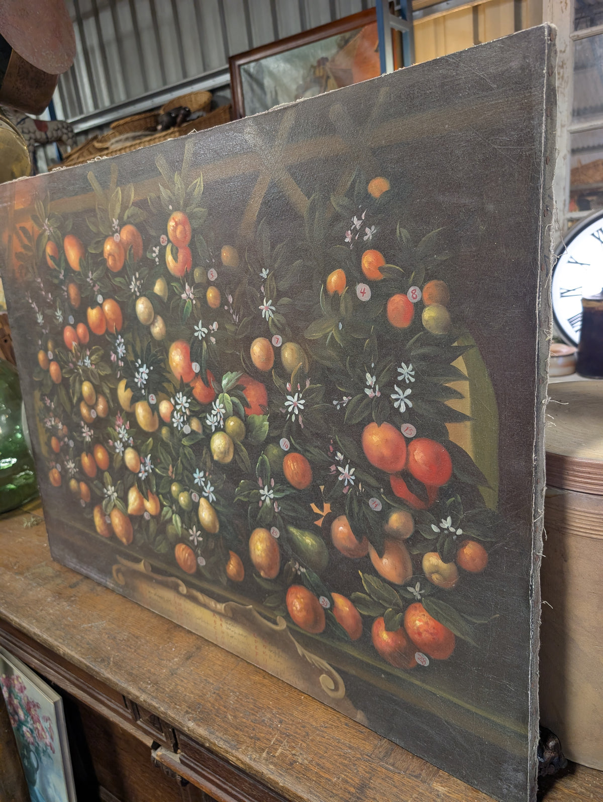 Large Vintage Italian Baroque Citrus Oil Painting – Hand-Painted Still Life Canvas (The Bimbi Citrus Study)