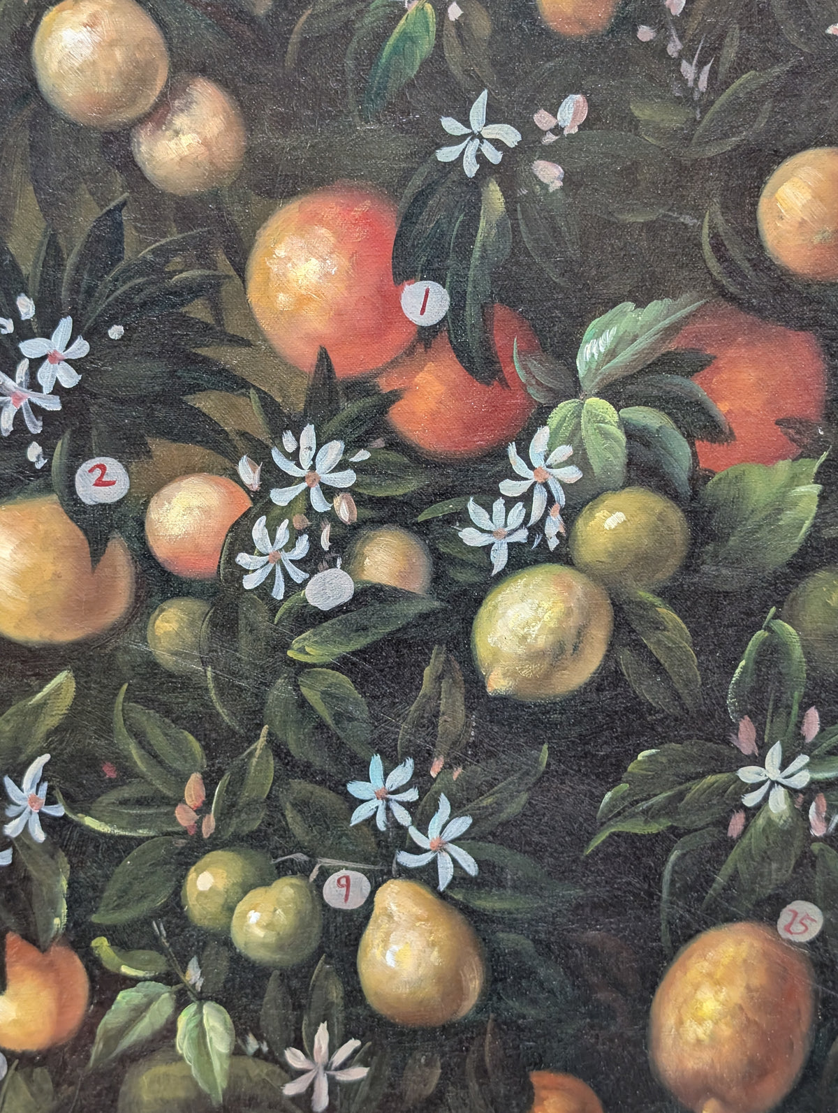 Large Vintage Italian Baroque Citrus Oil Painting – Hand-Painted Still Life Canvas (The Bimbi Citrus Study)