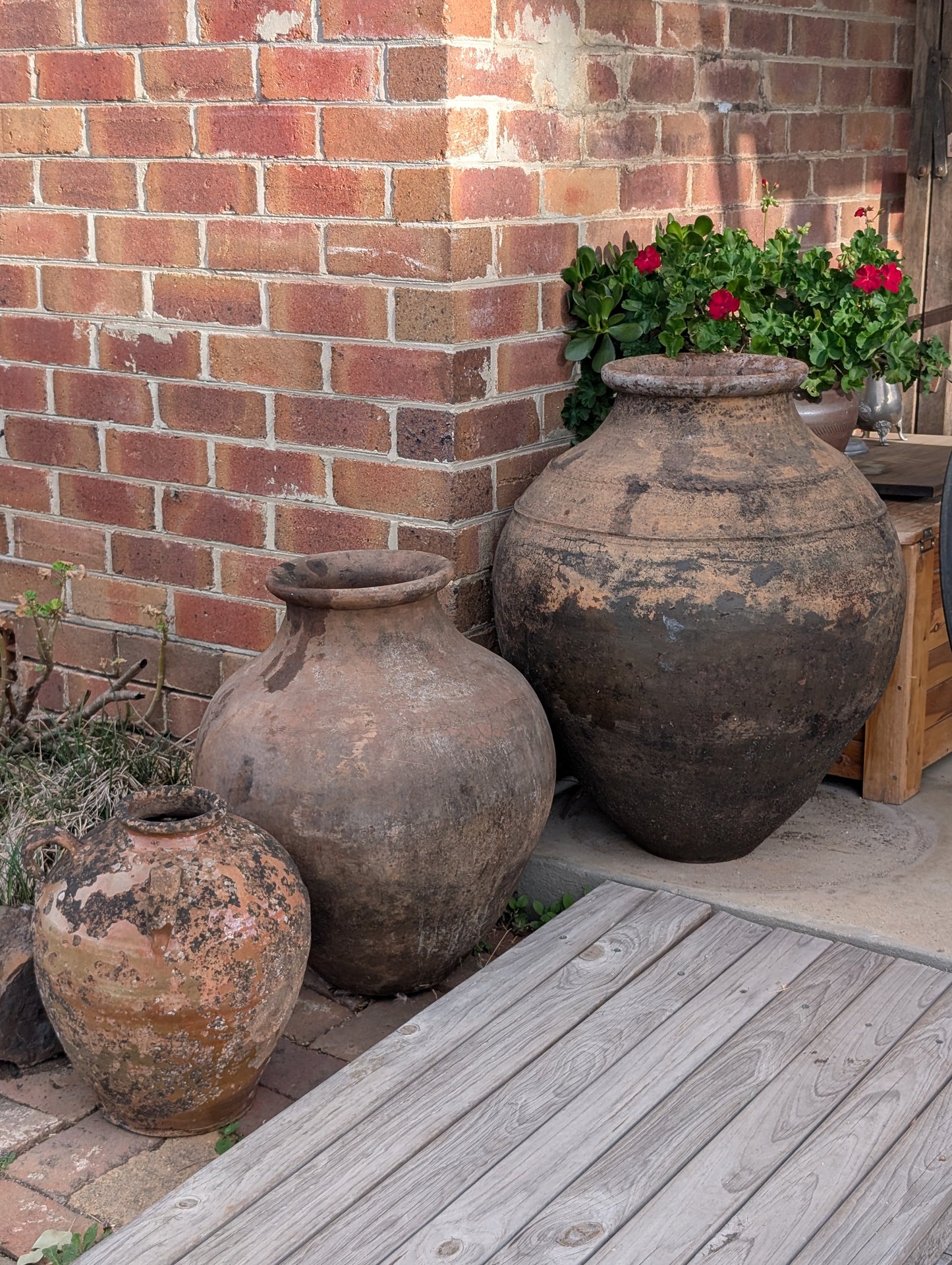 Antique Olive Oils Jars 2 L 1 M