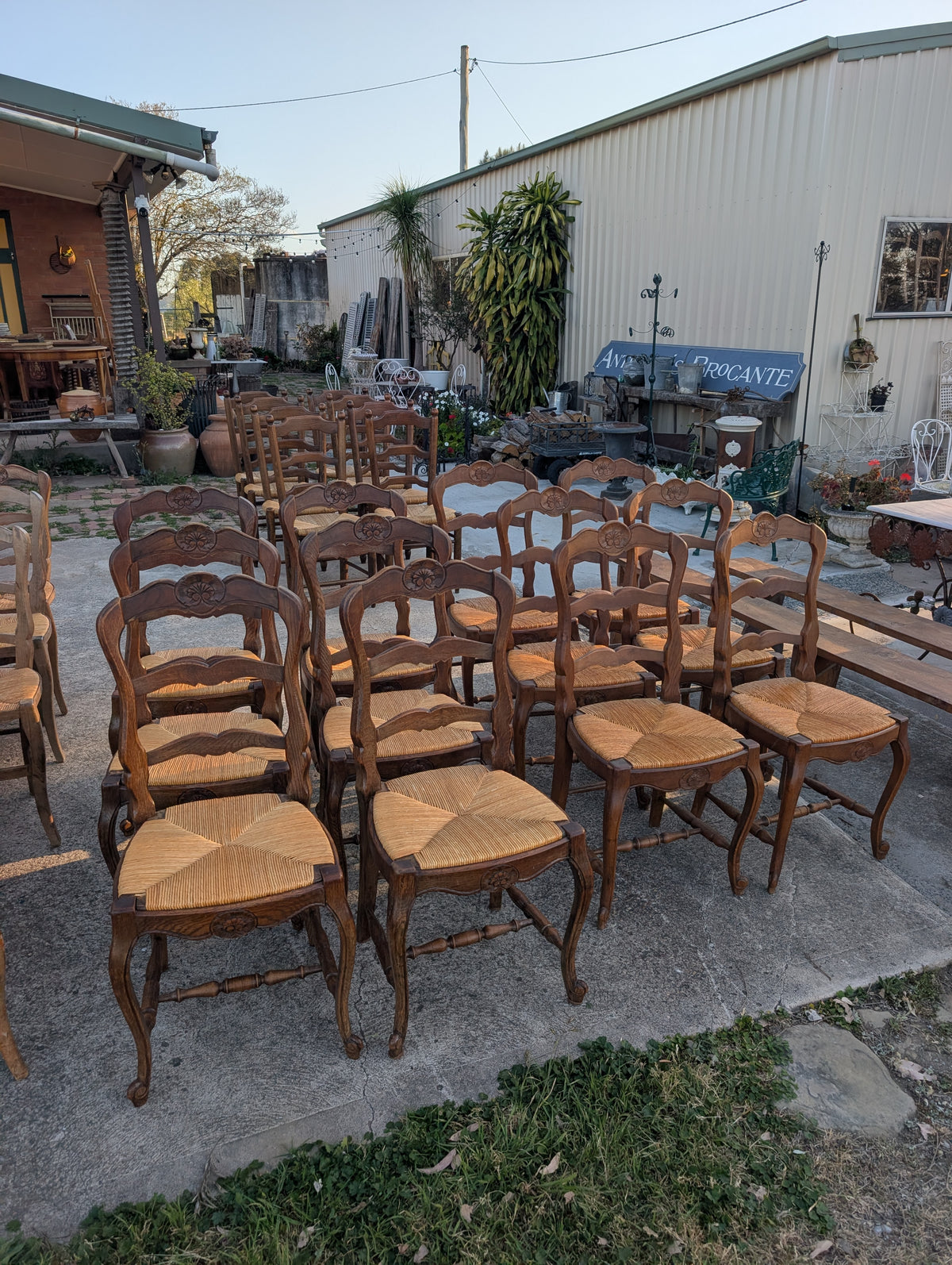 Set of 6 Antique French Provincial Ladder-Back Dining Chairs (lighter colour)